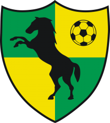 Birchwood Colts JFC badge